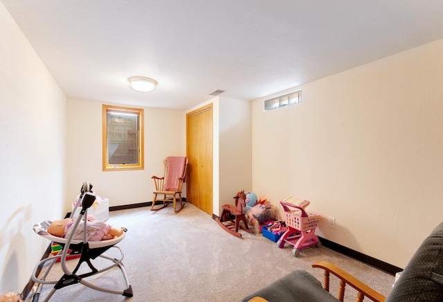 1011 Maple St S, Northfield, MN 55057 - photo 39