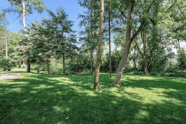 442 Vadnais Lake Dr, Vadnais Heights, MN 55127 - photo 26