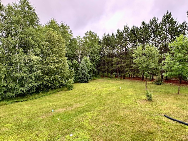 25703 County Road 125, Park Rapids, MN 56470 - photo 32