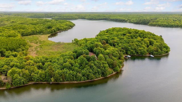 23001 Clearwater Point Rd NE, Bay Lake Twp, MN 56401 - photo 1
