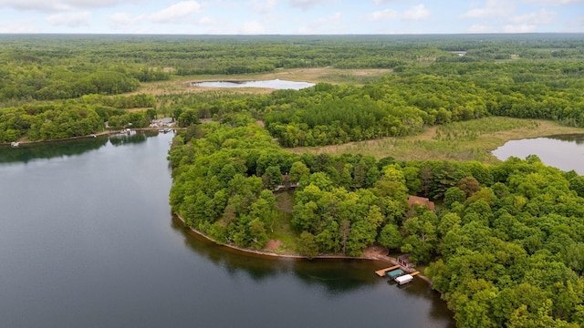 23001 Clearwater Point Rd NE, Bay Lake Twp, MN 56401 - photo 2