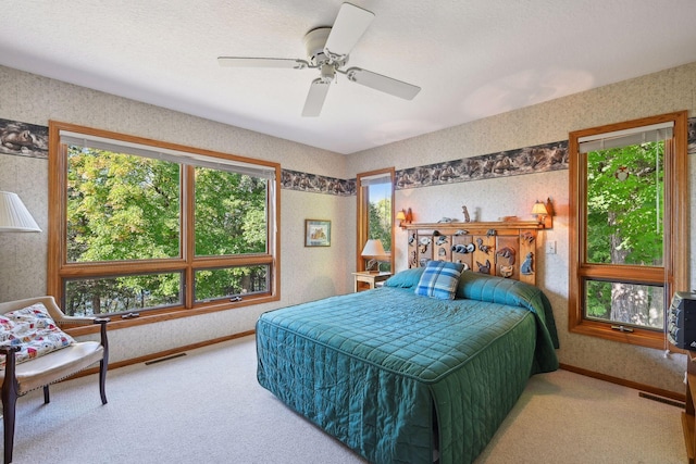 23001 Clearwater Point Rd NE, Bay Lake Twp, MN 56401 - photo 98