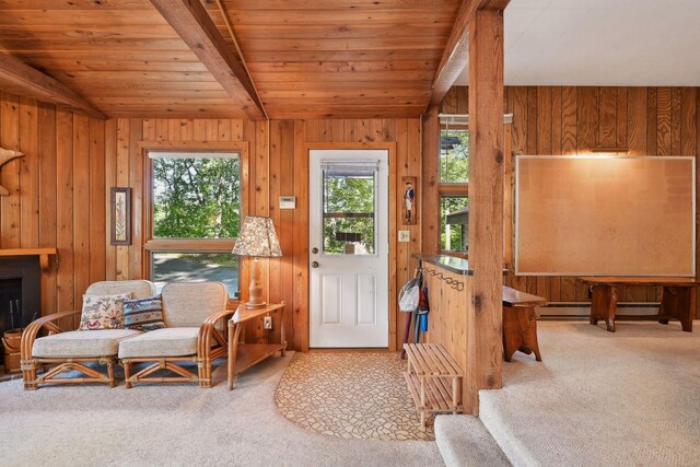 23001 Clearwater Point Rd NE, Bay Lake Twp, MN 56401 - photo 110