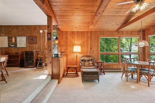 23001 Clearwater Point Rd NE, Bay Lake Twp, MN 56401 - photo 113