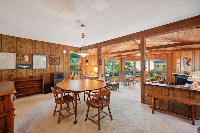 23001 Clearwater Point Rd NE, Bay Lake Twp, MN 56401 - photo 120