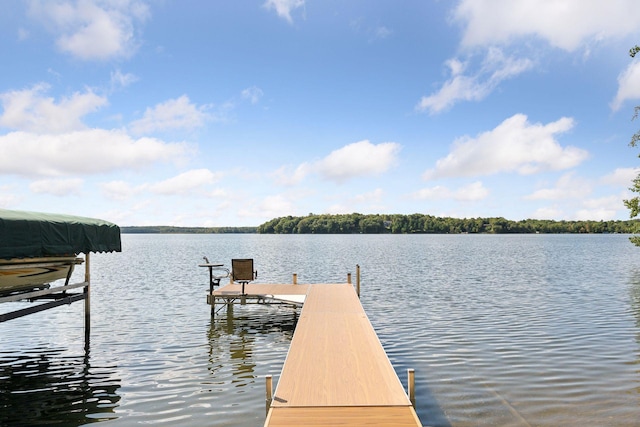 23001 Clearwater Point Rd NE, Bay Lake Twp, MN 56401 - photo 150