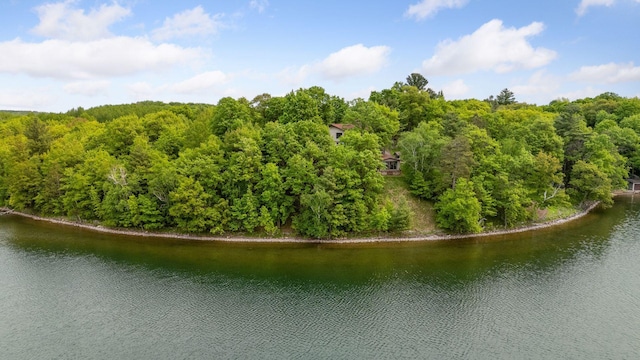 23001 Clearwater Point Rd NE, Bay Lake Twp, MN 56401 - photo 153