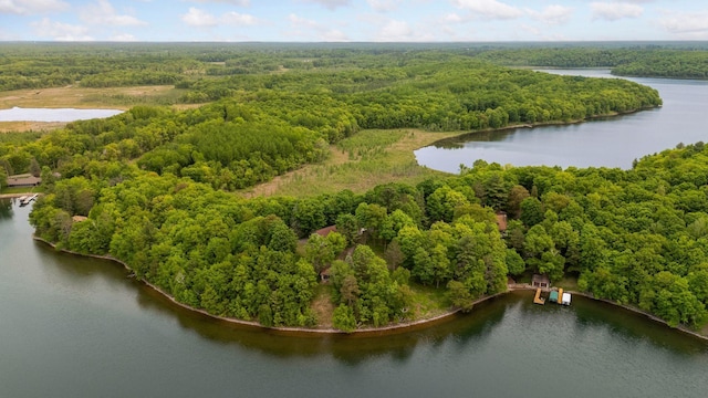 23001 Clearwater Point Rd NE, Bay Lake Twp, MN 56401 - photo 155