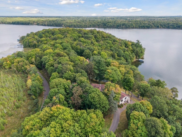 23001 Clearwater Point Rd NE, Bay Lake Twp, MN 56401 - photo 157