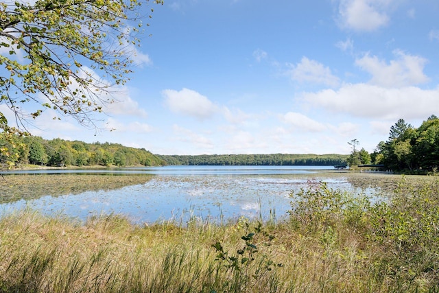23001 Clearwater Point Rd NE, Bay Lake Twp, MN 56401 - photo 164