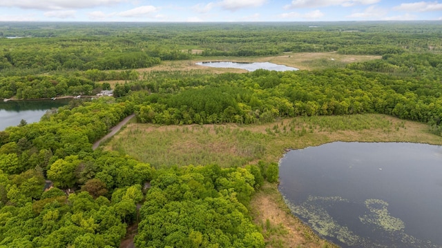23001 Clearwater Point Rd NE, Bay Lake Twp, MN 56401 - photo 165