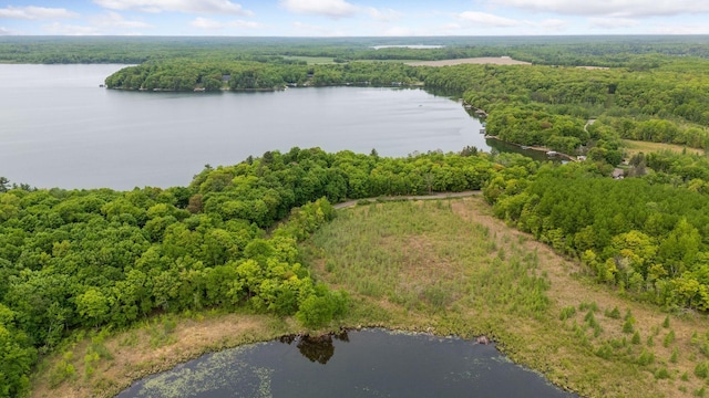 23001 Clearwater Point Rd NE, Bay Lake Twp, MN 56401 - photo 166