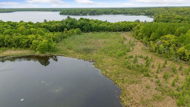 23001 Clearwater Point Rd NE, Bay Lake Twp, MN 56401 - photo 167