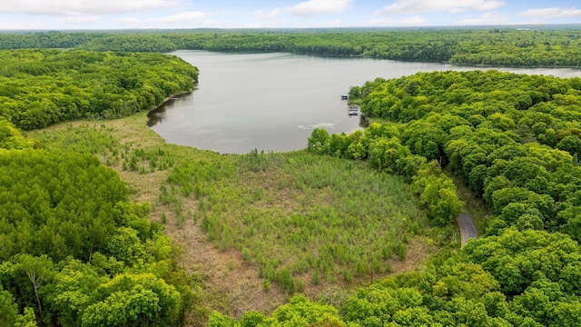 23001 Clearwater Point Rd NE, Bay Lake Twp, MN 56401 - photo 168