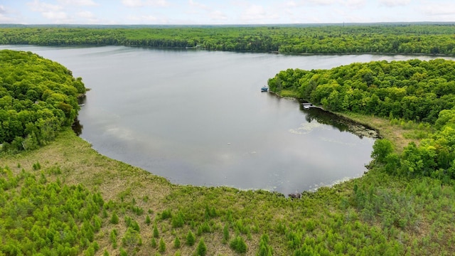 23001 Clearwater Point Rd NE, Bay Lake Twp, MN 56401 - photo 169