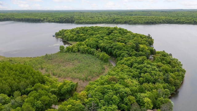 23001 Clearwater Point Rd NE, Bay Lake Twp, MN 56401 - photo 170