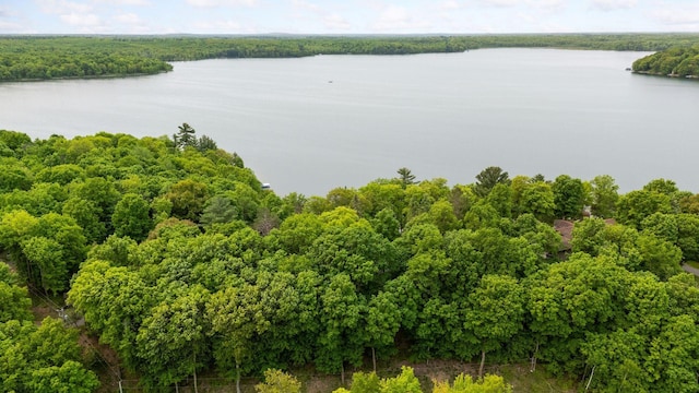 23001 Clearwater Point Rd NE, Bay Lake Twp, MN 56401 - photo 171