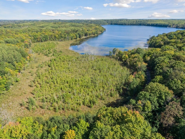 23001 Clearwater Point Rd NE, Bay Lake Twp, MN 56401 - photo 174