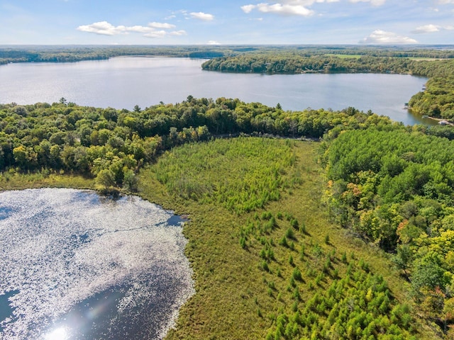 23001 Clearwater Point Rd NE, Bay Lake Twp, MN 56401 - photo 176