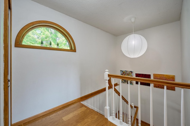 4620 Orchid Ln N, Plymouth, MN 55446 - photo 26