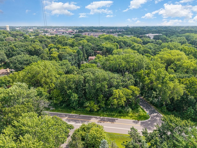 1431 Skiles Ln, Arden Hills, MN 55112 - photo 4