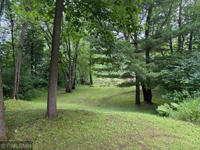 LOT1BLOCK1 Lofty Pines Rd, Pine City, MN 55063 - photo 3