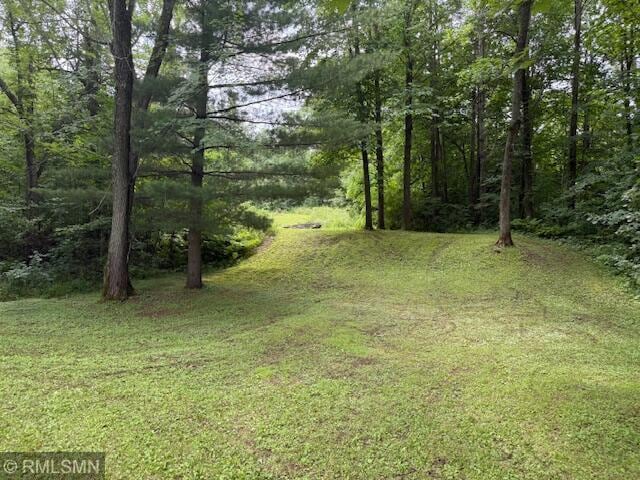 LOT1BLOCK1 Lofty Pines Rd, Pine City, MN 55063 - photo 4
