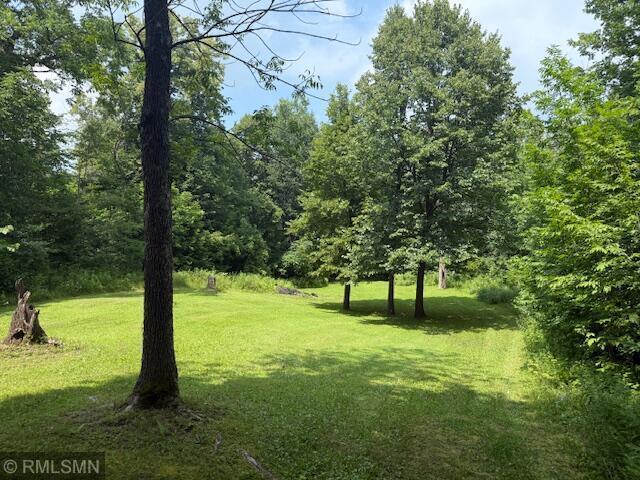 LOT1BLOCK1 Lofty Pines Rd, Pine City, MN 55063 - photo 5
