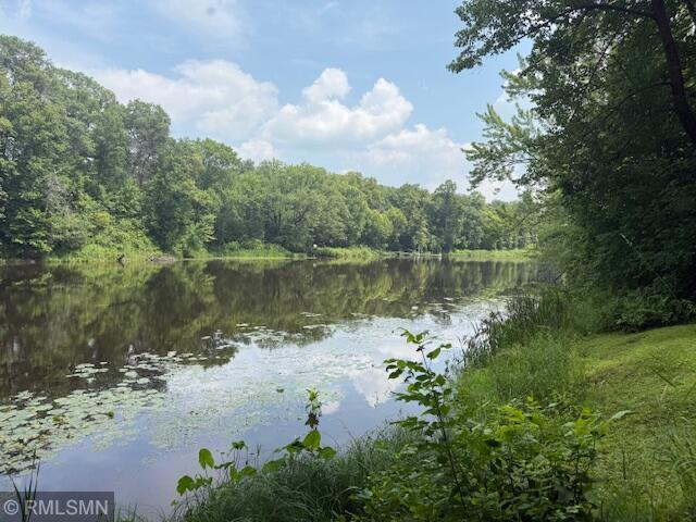 LOT1BLOCK1 Lofty Pines Rd, Pine City, MN 55063 - photo 7