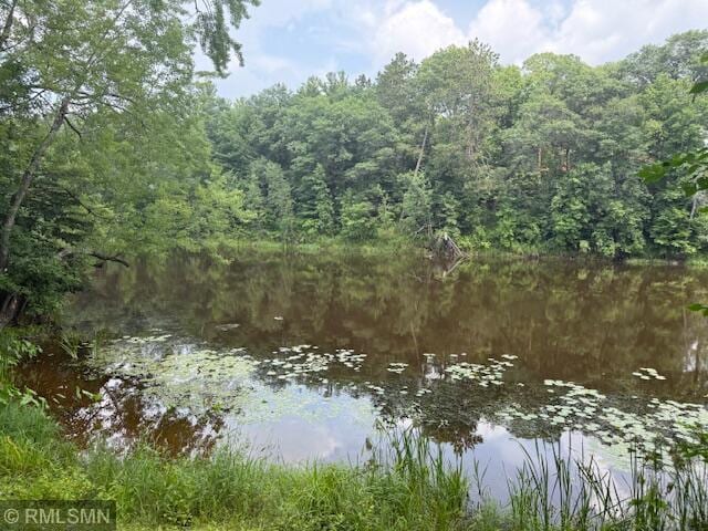 LOT1BLOCK1 Lofty Pines Rd, Pine City, MN 55063 - photo 8