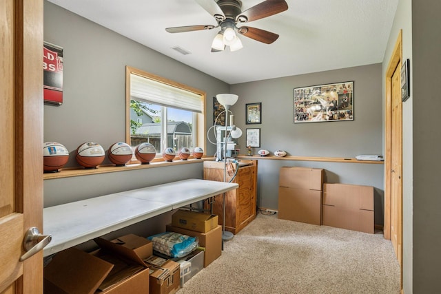 37922 Harvester Ave, North Branch, MN 55056 - photo 28