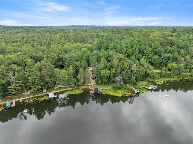 17259 Eagle Lake Rd, Fifty Lakes, MN 56448 - photo 30