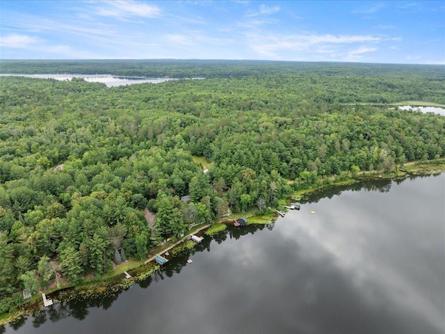 17259 Eagle Lake Rd, Fifty Lakes, MN 56448 - photo 31