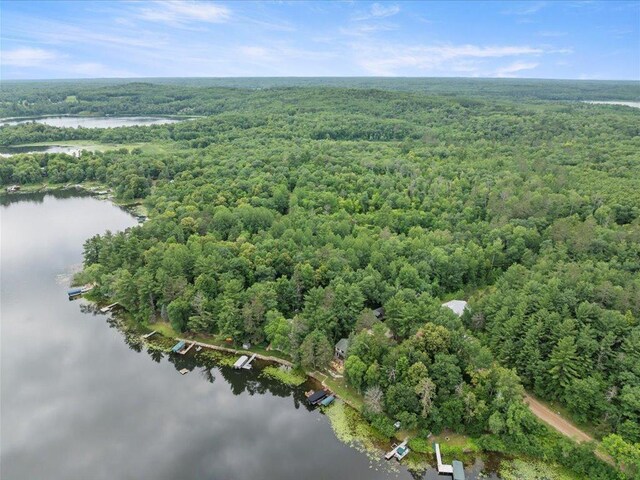 17259 Eagle Lake Rd, Fifty Lakes, MN 56448 - photo 32