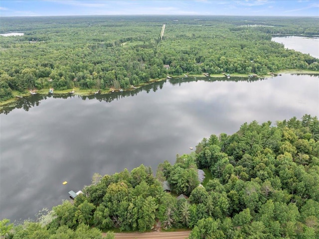 17259 Eagle Lake Rd, Fifty Lakes, MN 56448 - photo 37