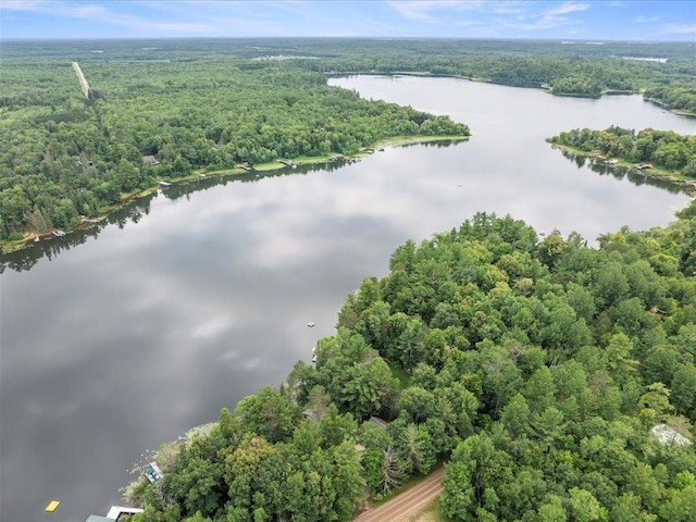 17259 Eagle Lake Rd, Fifty Lakes, MN 56448 - photo 38
