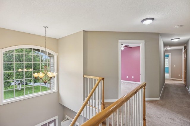 6962 Odell Ave S, Hastings, MN 55033 - photo 23