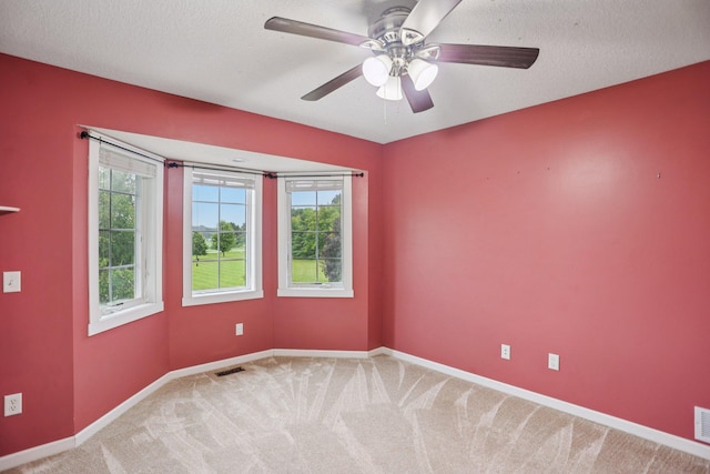 6962 Odell Ave S, Hastings, MN 55033 - photo 31