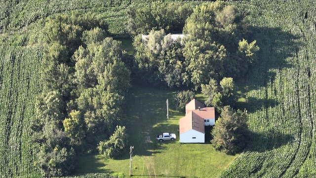 78320 State Highway 251, Bath Twp, MN 56016 - photo 6