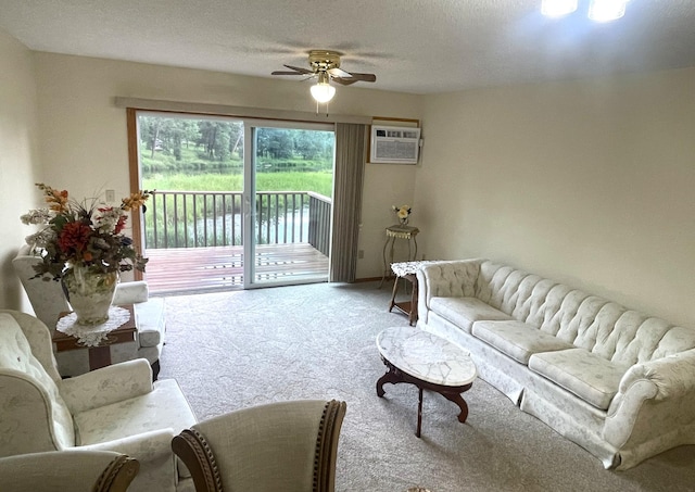 409 Norway Ave Unit 204, Pine River, MN 56474 - photo 3