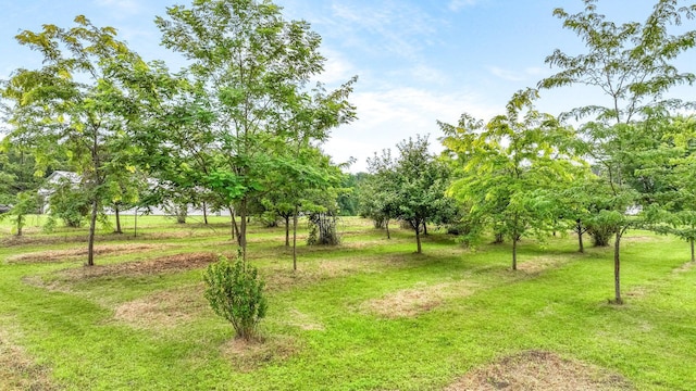 2549 25th Ave, Cedar Lake Twp, WI 54868 - photo 56