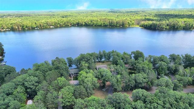 67490 Crystal Lake Rd, Hughes Twp, WI 54847 - photo 5