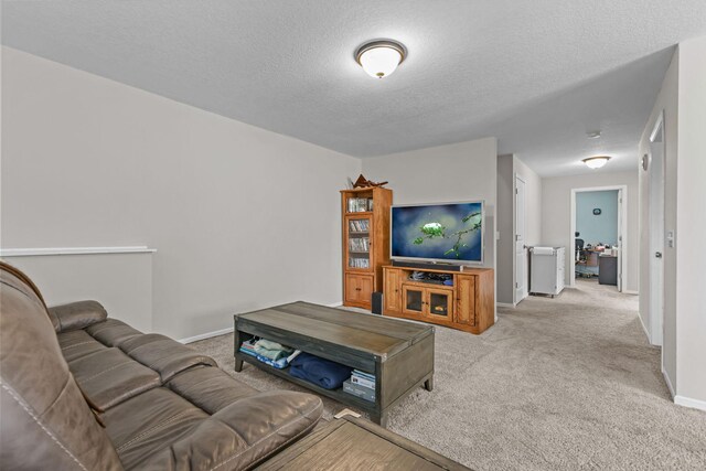 14204 Vintage St NW, Andover, MN 55304 - photo 16