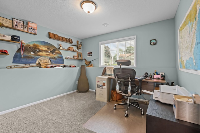 14204 Vintage St NW, Andover, MN 55304 - photo 20