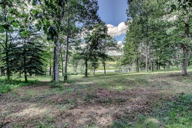 15727 Ester Dr, Park Rapids, MN 56470 - photo 7