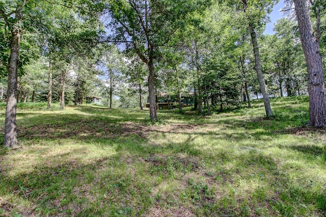 15727 Ester Dr, Park Rapids, MN 56470 - photo 10