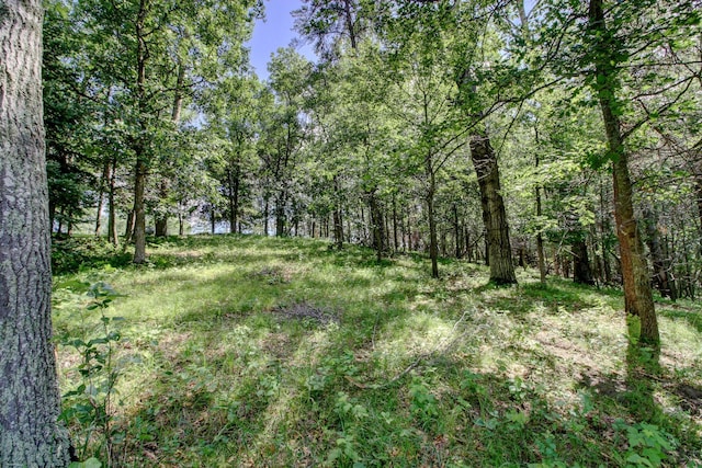 15727 Ester Dr, Park Rapids, MN 56470 - photo 11