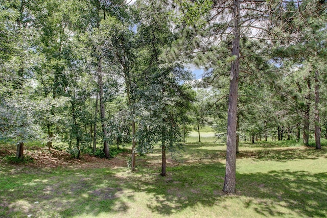 15727 Ester Dr, Park Rapids, MN 56470 - photo 16