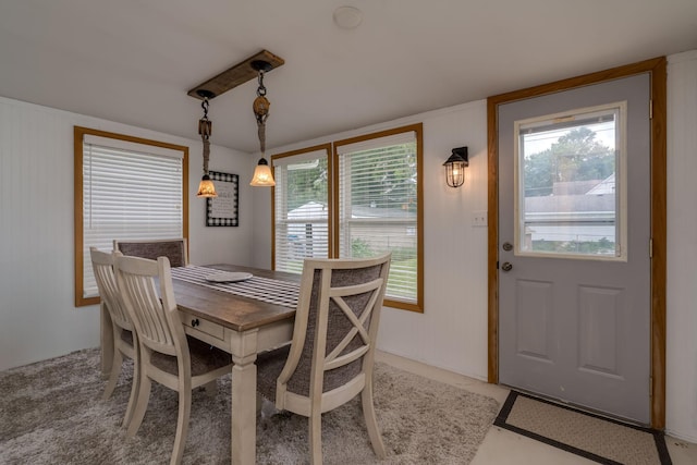 1302 Levison St, Albert Lea, MN 56007 - photo 16