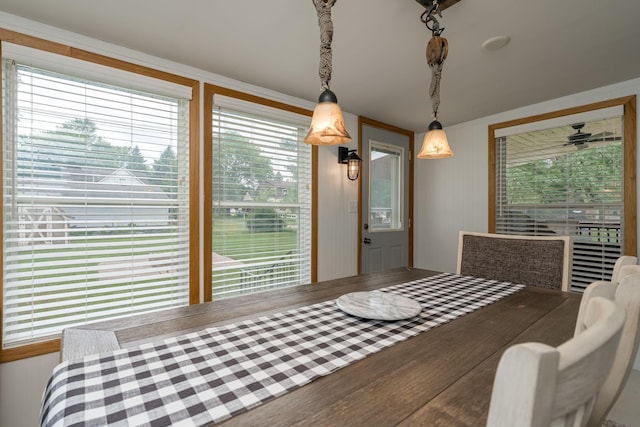 1302 Levison St, Albert Lea, MN 56007 - photo 17